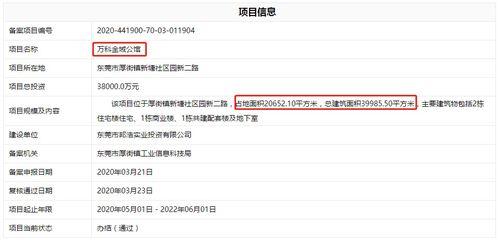 爆料最新项目是什么,行业颠覆者即将亮相  第1张